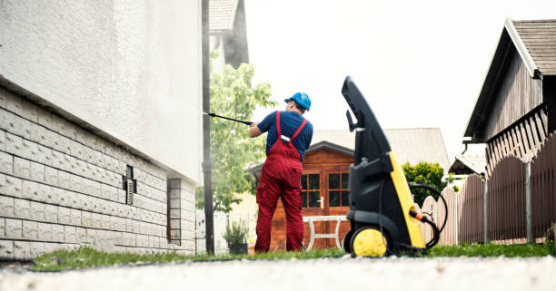 Best Soft Washing for Delicate Surfaces in Tarkio, MO